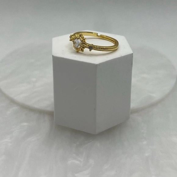 Ring‎ - Picture 4 of 5